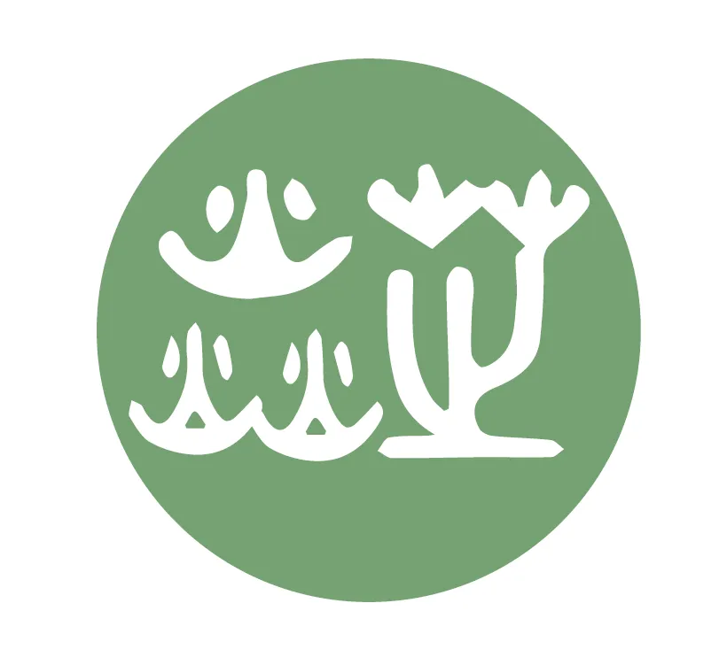 台灣焱芝手工皂soap(肥皂香皂)